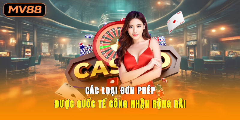 Các loại đơn phép được quốc tế công nhận rộng rãi