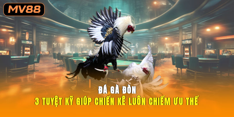 Đá Gà Đòn 3 Tuyệt Kỹ Giúp Chiến Kê Luôn Chiếm Ưu Thế
